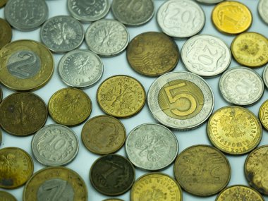 PLN, cila zloti - madeni paralar, finansal büyüme ev bütçesi tasarruf iş para birimi iş ekonomisi banka kavramı.