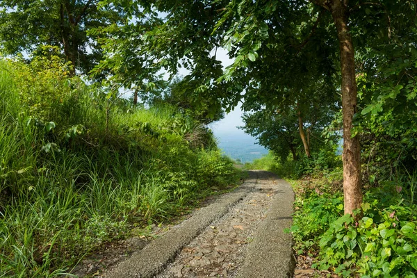 쿠티말라 Kodikuthi Mala 쿠티말라 Kodikuthi Mala 케랄라의 지역에 구릉지이다 — 스톡 사진