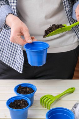 Kadın küçük mavi bir tohum kabını kürekle toprakla dolduruyor. Evde tohum ekme hazırlığı. Bahçıvanlık, sebze yetiştirme ve yiyecek için ot yetiştirme. Dikey resim