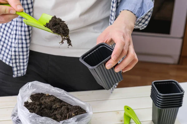 Woman fills a small seedling pot with soil with a shovel. Preparation for planting seedlings at home. Gardening, growing vegetables and herbs for food.