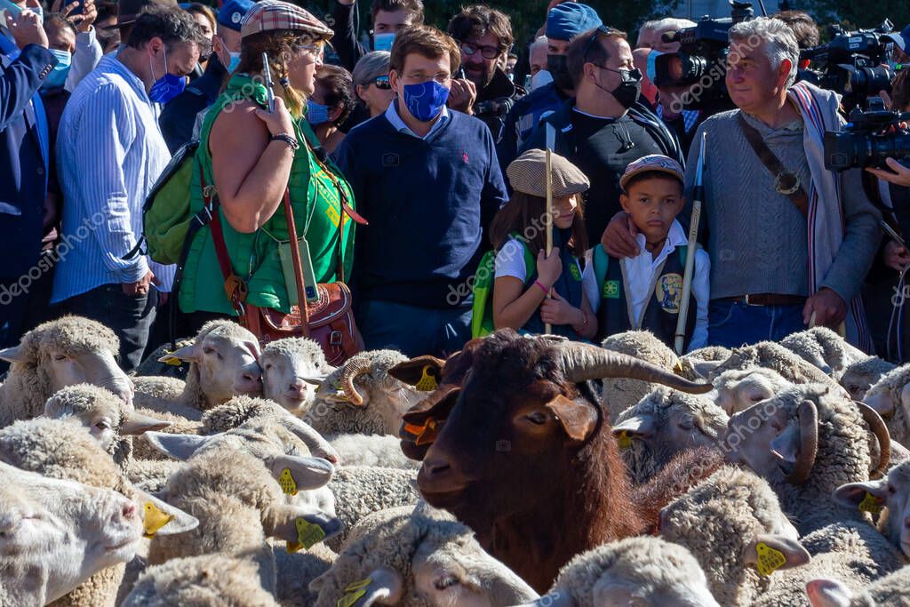 Madrid, Espa a 24 de octubre de 2021 Festival de trashumancia en