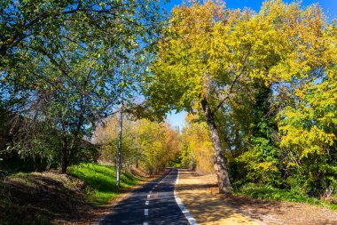 Sonbahar renkleriyle parkın içinde bisiklet yolu