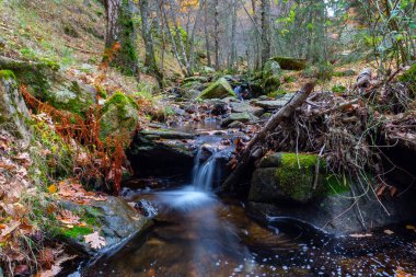 Sonbahar boyunca yosunlu yüksek dağ nehri. Bu sırada dağ manzarası