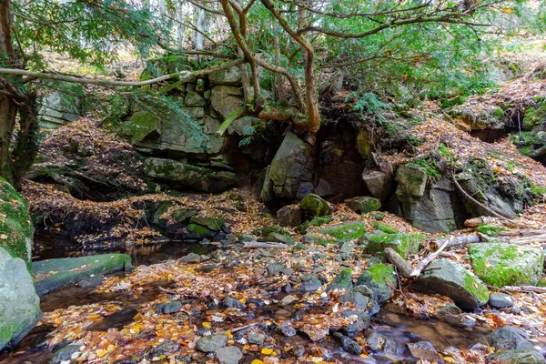 Moosiger Hochgebirgsfluss Herbst Berglandschaft Während — Stockfoto