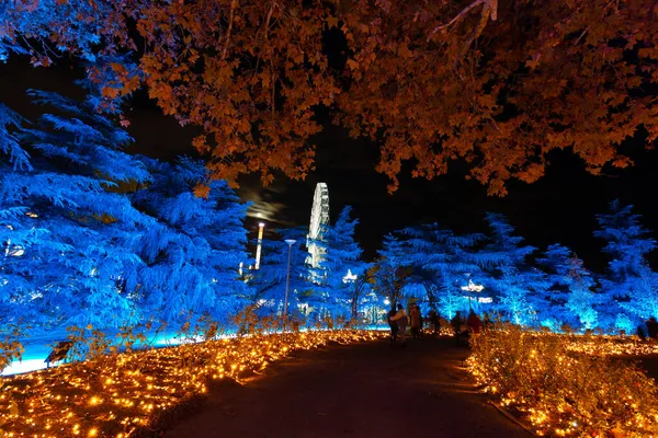 Madrid Espagne Novembre 2021 Ville Torrejon Ardoz Célèbre Noël Illuminant — Photo