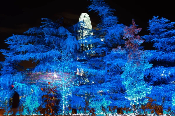 Madrid Spagna Novembre 2021 Città Torrejon Ardoz Celebra Natale Illuminando — Foto Stock