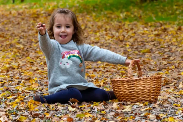 小女孩拿着柳条筐在森林里摘栗子 — 图库照片