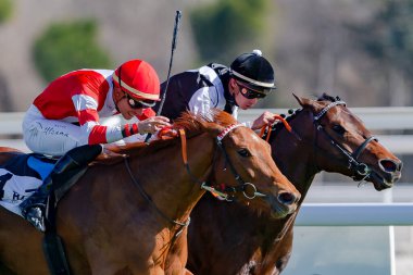 Madrid, İspanya - 6 Mart 2022 Madrid 'deki Hipdromo de la Zarzuela' da at yarışı. At yarışları sırasında jokeyler atlarının üstünde.