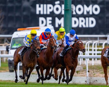 Madrid, İspanya - 6 Mart 2022 Madrid 'deki Hipdromo de la Zarzuela' da at yarışı. At yarışları sırasında jokeyler atlarının üstünde.