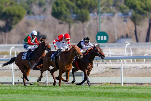 Madrid Spain March 2022 Horse Racing Hipdromo Zarzuela Madrid Jockeys — Stock Photo, Image