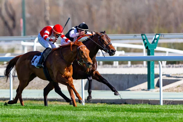 Madrid España Marzo 2022 Carreras Caballos Hipdromo Zarzuela Madrid Jockeys — Foto de Stock