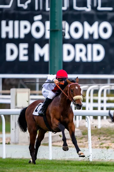 Madri Espanha Março 2022 Corrida Cavalos Hipdromo Zarzuela Madri Jockeys — Fotografia de Stock