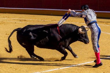 Madrid, İspanya 2 Nisan 2022 'de Madrid' deki El Alamo boğa ringinde düzenlendi. Cesur boğaların dövüşü.