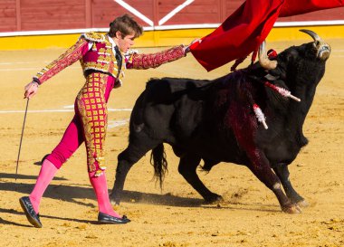 Madrid, İspanya 2 Nisan 2022 'de Madrid' deki El Alamo boğa ringinde düzenlendi. Cesur boğaların dövüşü. Madrid 'deki Chenel Kupası sırasında boğa güreşçisi Javier Jimenez.