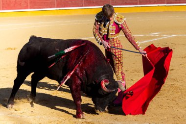 Madrid, İspanya 2 Nisan 2022 'de Madrid' deki El Alamo boğa ringinde düzenlendi. Cesur boğaların dövüşü. Madrid 'deki Chenel Kupası sırasında boğa güreşçisi Javier Jimenez.