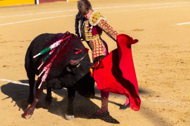 Madrid, İspanya 2 Nisan 2022 'de Madrid' deki El Alamo boğa ringinde düzenlendi. Cesur boğaların dövüşü. Madrid 'deki Chenel Kupası sırasında boğa güreşçisi Javier Jimenez.