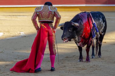Madrid, İspanya 2 Nisan 2022 'de Madrid' deki El Alamo boğa ringinde düzenlendi. Cesur boğaların dövüşü. Madrid 'deki Chenel Kupası sırasında boğa güreşçisi Amor Rodriguez.