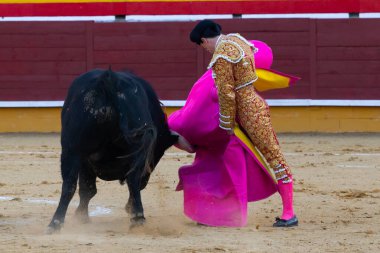 Madrid, İspanya 2 Nisan 2022 'de Madrid' deki El Alamo boğa ringinde düzenlendi. Cesur boğaların dövüşü. Madrid 'deki Chenel Kupası sırasında boğa güreşçisi Amor Rodriguez.