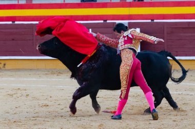 Madrid, İspanya 2 Nisan 2022 'de Madrid' deki El Alamo boğa ringinde düzenlendi. Cesur boğaların dövüşü. Madrid 'deki Chenel Kupası sırasında boğa güreşçisi Amor Rodriguez.