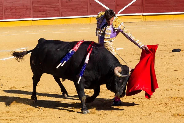 2022年4月2日 スペイン マドリードのエル アラモ ブルリングで開催されたチェネル カップ 勇敢な雄牛と戦う マドリードのチェネルカップ中の闘牛士ミゲル テンドロ — ストック写真
