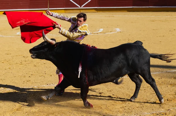 Madrid España Abril 2022 Copa Chenel Celebrada Plaza Toros Alamo — Foto de Stock