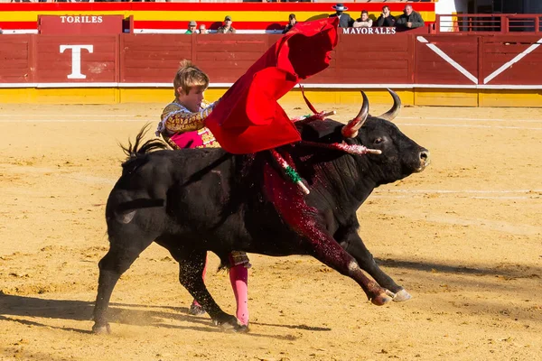 Madryt Hiszpania Kwietnia 2022 Mistrzostwa Chenel Odbyły Się Alamo Bullring — Zdjęcie stockowe