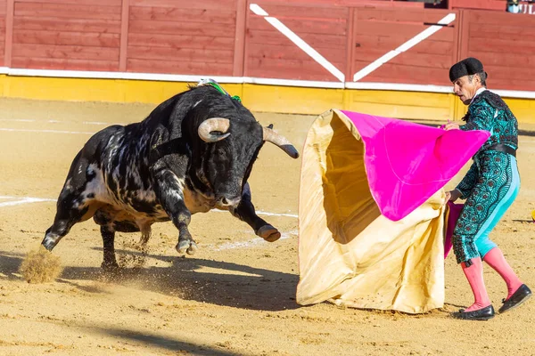 Madryt Hiszpania Kwietnia 2022 Mistrzostwa Chenel Odbyły Się Alamo Bullring — Zdjęcie stockowe