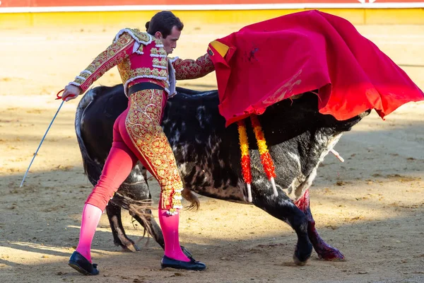 Madrid Spanya Nisan 2022 Madrid Deki Alamo Boğa Ringinde Düzenlendi — Stok fotoğraf