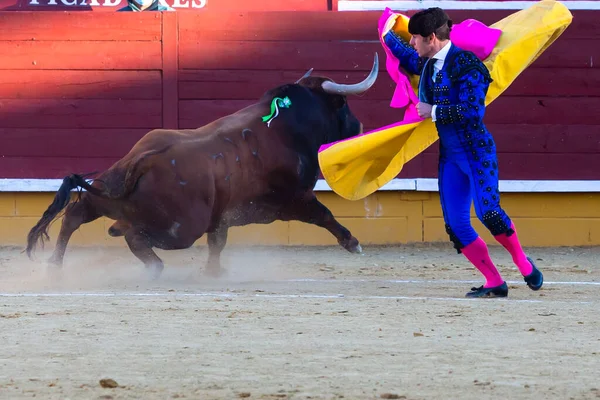 2022年4月2日 スペイン マドリードのエル アラモ ブルリングで開催されたチェネル カップ 勇敢な雄牛との戦い — ストック写真