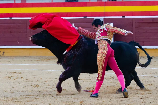 Madrid, İspanya 2 Nisan 2022 'de Madrid' deki El Alamo boğa ringinde düzenlendi. Cesur boğaların dövüşü. Madrid 'deki Chenel Kupası sırasında boğa güreşçisi Amor Rodriguez.