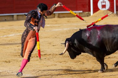 Madrid, İspanya - 9 Nisan 2022: Miraflores de la Sierra 'da Chenel Kupası. Yarışma sırasında boğanın yanında Banderilleros vardı. Boğa güreşi.