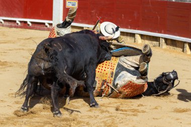 Madrid, İspanya - 9 Nisan 2022: Miraflores de la Sierra 'da Chenel Kupası. At boğa güreşi sırasında boğa tarafından giydirilir..