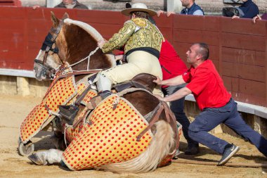 Madrid, İspanya - 9 Nisan 2022: Miraflores de la Sierra 'da Chenel Kupası. At boğa güreşi sırasında boğa tarafından giydirilir..