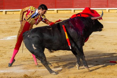 Madrid, İspanya - 9 Nisan 2022: Miraflores de la Sierra 'da Chenel Kupası. Yarışmada boğa güreşçisi Perez Mota.