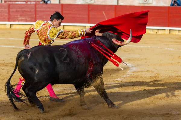 Madrid, İspanya - 9 Nisan 2022: Miraflores de la Sierra 'da Chenel Kupası. Yarışma sırasında boğa güreşçisi Garcia Navarrete.