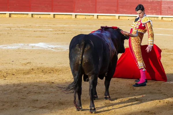 Madrid Španělsko Dubna 2022 Chenelový Pohár Miraflores Sierra Bullfighter Garcia — Stock fotografie