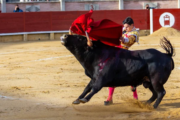 マドリード スペイン 2022年4月9日 ミラフローレス シエラのチェネルカップ 競争中の闘牛士ガルシア ナバレット — ストック写真