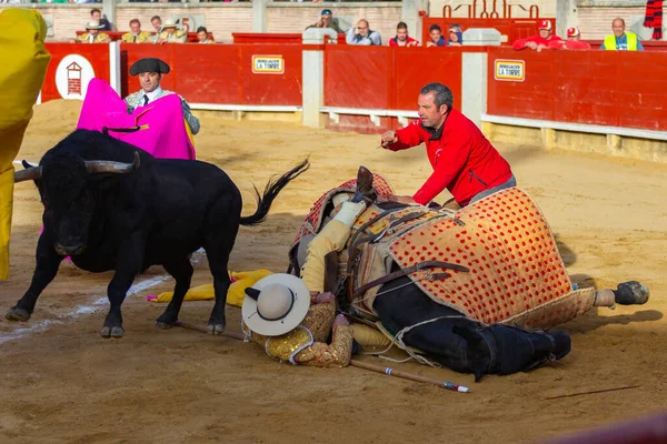マドリード スペイン 2022年4月9日 ミラフローレス シエラのチェネルカップ 馬は闘牛中に雄牛の格好をしている — ストック写真
