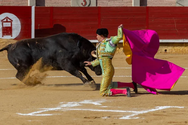 マドリード スペイン 2022年4月9日 ミラフローレス シエラのチェネルカップ 競争中の闘牛家パコ ラモス — ストック写真