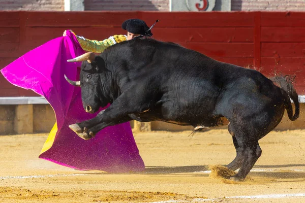 Madrid, İspanya - 9 Nisan 2022: Miraflores de la Sierra 'da Chenel Kupası. Yarışmada boğa güreşçisi Paco Ramos.