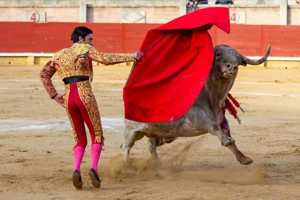Madrid Španělsko Dubna 2022 Chenelový Pohár Miraflores Sierra Bullfighter Perez — Stock fotografie