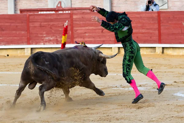 Madrid, İspanya - 9 Nisan 2022: Miraflores de la Sierra 'da Chenel Kupası. Yarışma sırasında boğanın yanında Banderilleros vardı. Boğa güreşi.