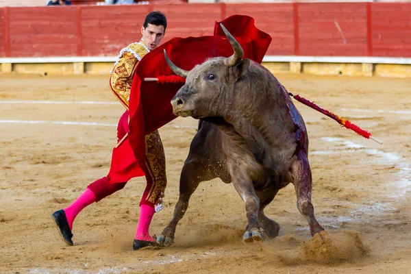 Madrid Španělsko Dubna 2022 Chenelový Pohár Miraflores Sierra Bullfighter Garcia — Stock fotografie