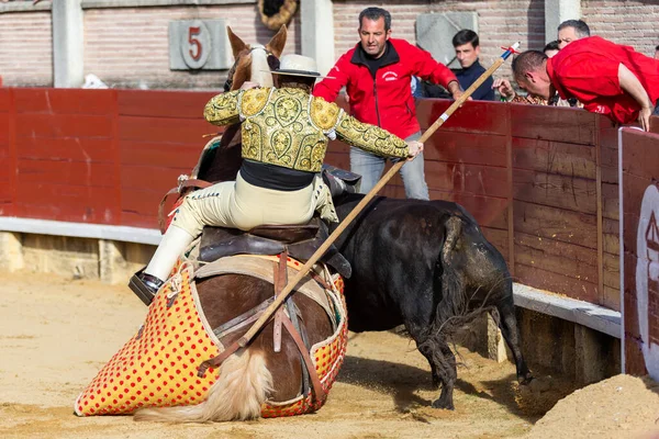 Madrid Espagne Avril 2022 Coupe Chenel Miraflores Sierra Cheval Est — Photo