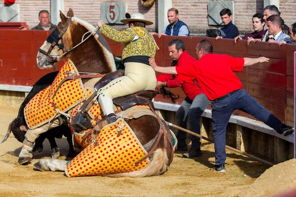 Madrid Spain April 2022 Chenel Cup Miraflores Sierra Horse Dressed — Stock Photo, Image