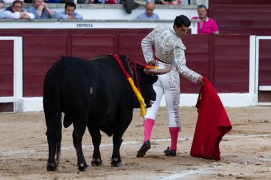 Madrid, İspanya... 30 Nisan 2022, San Martin de Valdeiglesias 'ta boğa güreşi. Koltuk değneği olan boğa güreşçisi. Boğa güreşi. Boğa güreşçisi ringde boğaya pas veriyor..