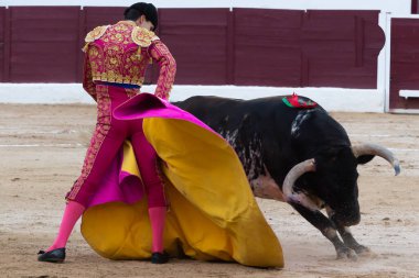 Madrid, İspanya... 30 Nisan 2022, San Martin de Valdeiglesias 'ta boğa güreşi. Pelerinli boğa güreşçisi. Boğa güreşi. Boğa güreşçisi boğa güreşine pelerin veriyor..