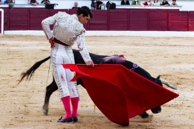 Madrid, İspanya... 30 Nisan 2022, San Martin de Valdeiglesias 'ta boğa güreşi. Koltuk değneği olan boğa güreşçisi. Boğa güreşi. Boğa güreşçisi ringde boğaya pas veriyor..