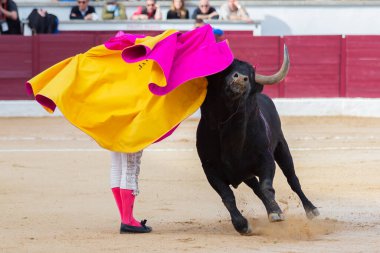 Madrid, İspanya... 30 Nisan 2022, San Martin de Valdeiglesias 'ta boğa güreşi. Pelerinli boğa güreşçisi. Boğa güreşi. Boğa güreşçisi boğa güreşine pelerin veriyor..