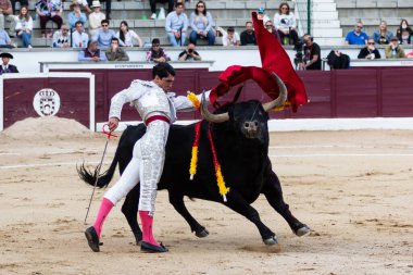 Madrid, İspanya... 30 Nisan 2022, San Martin de Valdeiglesias 'ta boğa güreşi. Koltuk değneği olan boğa güreşçisi. Boğa güreşi. Boğa güreşçisi ringde boğaya pas veriyor..